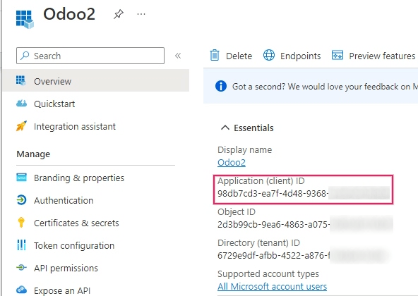 ID Applicazione/Client situato nella Panoramica dell'app.
