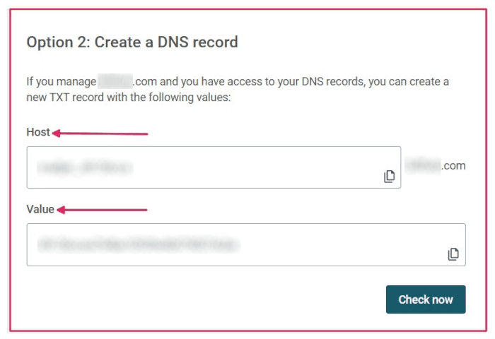 Le informazioni del record TXT da inserire nel DNS del dominio