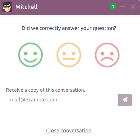 Vista della finestra chat dal lato utente per Laundry ERP Live Chat