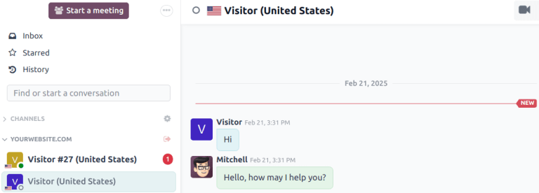 Vista dell'applicazione discuss con un messaggio inviato tramite live chat in Laundry ERP