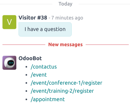 Vista dei risultati da un comando /history in una conversazione Live Chat